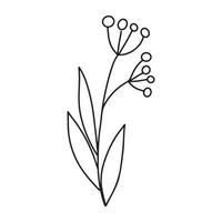 branche minimaliste dessinée à la main avec des feuilles rondes. illutration vectorielle de contour de ligne de contour noir dans un style de doodle minimal. clipart floral de vacances d'hiver, verdure vecteur