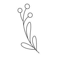 branche minimaliste dessinée à la main avec des feuilles et des baies. illutration vectorielle de contour de ligne de contour noir dans un style de doodle minimal. clipart floral de vacances d'hiver, verdure vecteur