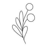 branche minimaliste dessinée à la main avec des feuilles et des baies. illutration vectorielle de contour de ligne de contour noir dans un style de doodle minimal. clipart floral de vacances d'hiver, verdure vecteur