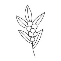 branche minimaliste dessinée à la main avec des feuilles et des baies. illutration vectorielle de contour de ligne de contour noir dans un style de doodle minimal. clipart floral de vacances d'hiver, verdure vecteur