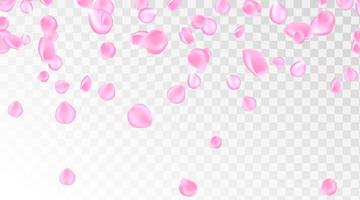 fond de chute de pétale de rose rose. confettis aux pétales. vecteur eps 10.