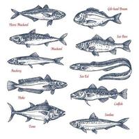 icônes de croquis de vecteur de poissons de mer et océan