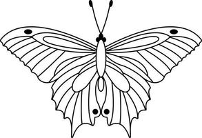 illustration vectorielle de papillon. dessin au trait sur blanc. icône vecteur