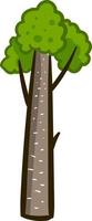 Pin grand arbre , illustration, vecteur sur fond blanc