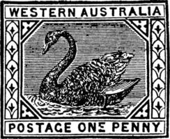 timbre d'un penny de l'ouest de l'australie de 1890 à 1893, illustration vintage. vecteur