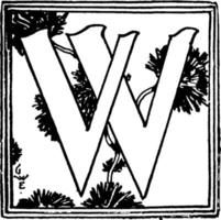 w, lettre, illustration vintage vecteur