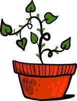 plante en pot, illustration, vecteur sur fond blanc