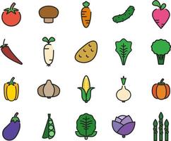 légumes frais, illustration, sur fond blanc. vecteur