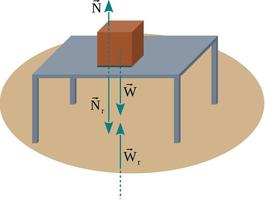 forces de réaction à la force normale et au poids d'un bloc posé sur une table vecteur