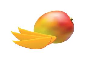 illustration vectorielle de mangue réaliste vecteur
