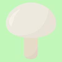 champignon blanc, illustration, vecteur sur fond blanc.