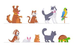 un ensemble d'animaux différents. illustration vectorielle de chats, chiens, hamster, perroquet, tortue et autres animaux de compagnie isolés sur fond blanc. zoo. vecteur