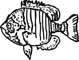 dessin de poisson, illustration, vecteur sur fond blanc.