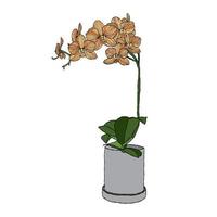 illustration vectorielle de fleur d'orchidée avec style de dessin à la main vecteur