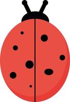 coccinelle plate, illustration, vecteur sur fond blanc.