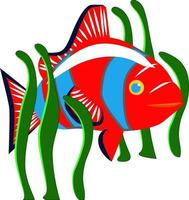 poisson rouge, illustration, vecteur sur fond blanc.