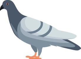 pigeon bleu, illustration, vecteur sur fond blanc.