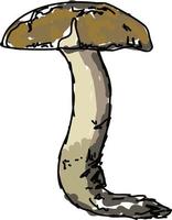 champignon dans les bois, illustration, vecteur sur fond blanc.