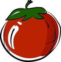 tomate rouge, illustration, vecteur sur fond blanc.