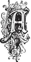 a, initiale florale, illustration vintage vecteur