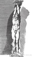 sculpture de marsyas, anonyme, 1584 , illustration vintage. vecteur