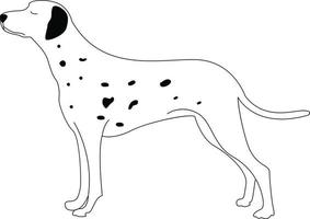 chien dalmatien, illustration, vecteur sur fond blanc.