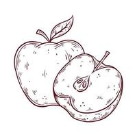 pomme dessinée à la main. illustration vectorielle de fruits frais isolés. vecteur