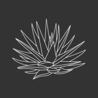 agave bleu dans un style doodle, illustration vectorielle. sirop d'agave pour faire de la tequila mexicaine. contour de plante succulente, dessiné à la main. élément isolé sur fond de tableau de craie. croquis de fleur du désert vecteur
