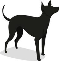 chien noir, illustration, vecteur sur fond blanc