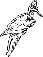 dessin d'oiseau, illustration, vecteur sur fond blanc.
