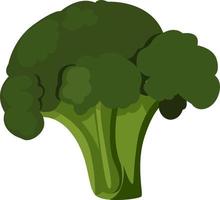 Brocoli frais, illustration, vecteur sur fond blanc