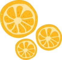 orange, illustration, vecteur sur fond blanc.