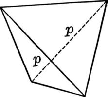 sphénoïde, illustration vintage. vecteur