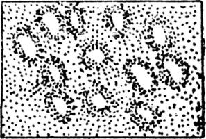 dunes de sable, illustration vintage. vecteur