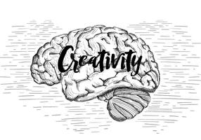 Illustration libre du cerveau vecteur