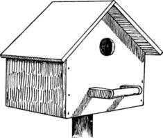 maison d'oiseau, illustration vintage. vecteur