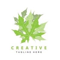 logo de feuille, vecteur de plante verte, vecteur d'arbre, illustration de marque de produit