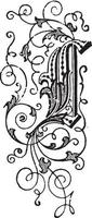 k, lettre florale, illustration vintage vecteur
