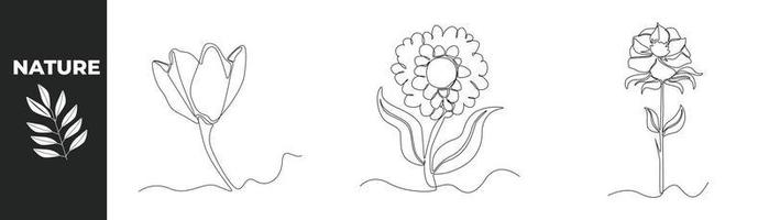 concept d'ensemble de fleur de dessin d'une seule ligne. fleurs belles et épanouies. illustration vectorielle graphique de conception de dessin en ligne continue. vecteur