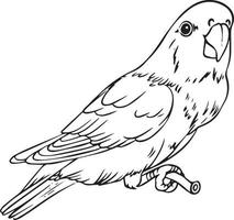 perroquet sur une branche. dessin fait à la main en noir et blanc. pour les livres à colorier et vos livres. vecteur
