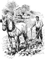 après appomattox, illustration vintage. vecteur