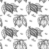 motif noir et blanc harmonieux dans un style doodle dessiné à la main, fèves de cacao avec des feuilles sur une branche vecteur