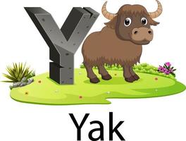 alphabet mignon d'animaux anciens y pour yak avec la bonne animation à côté vecteur