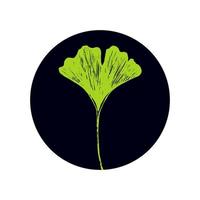 feuille gracieuse de ginkgo biloba sur un fond sombre rond. feuille verte de ginko utile pour l'emballage, l'icône ou le logo de médicaments vecteur