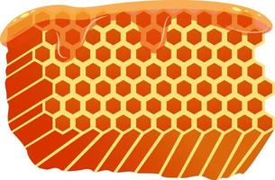 miel d'abeille, illustration, vecteur sur fond blanc.