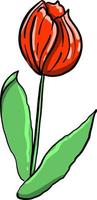 fleur rouge, illustration, vecteur sur fond blanc