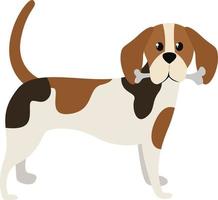chien beagle, illustration, vecteur sur fond blanc.