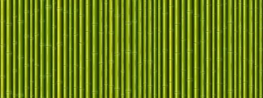 modèle sans couture de texture de mur de bambou vecteur