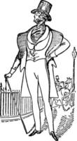 comte d'orsay, illustration vintage vecteur