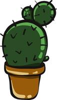 Cactus dans un pot , illustration, vecteur sur fond blanc